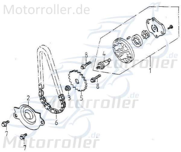 Adly Antriebswelle Ölpumpe GK 125 Antriebsachse 125ccm 4Takt Motorroller.de Ausgangswelle Getriebeausgangswelle Getriebewelle Eingangswelle Hauptwelle
