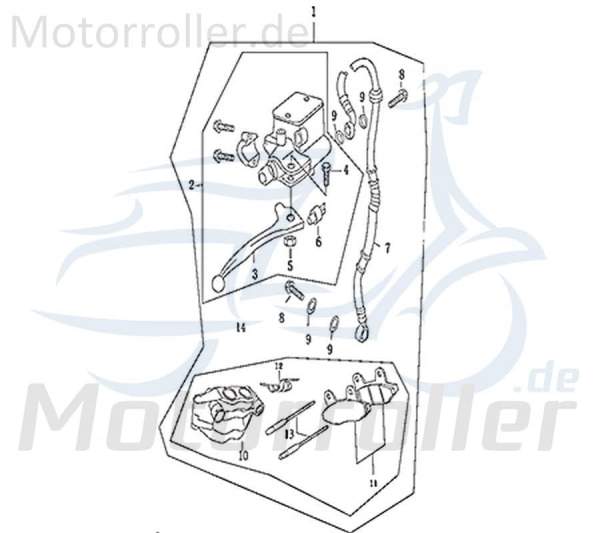 Bremsscheibe vorn Scheibenbremse 309-HDDMI-01