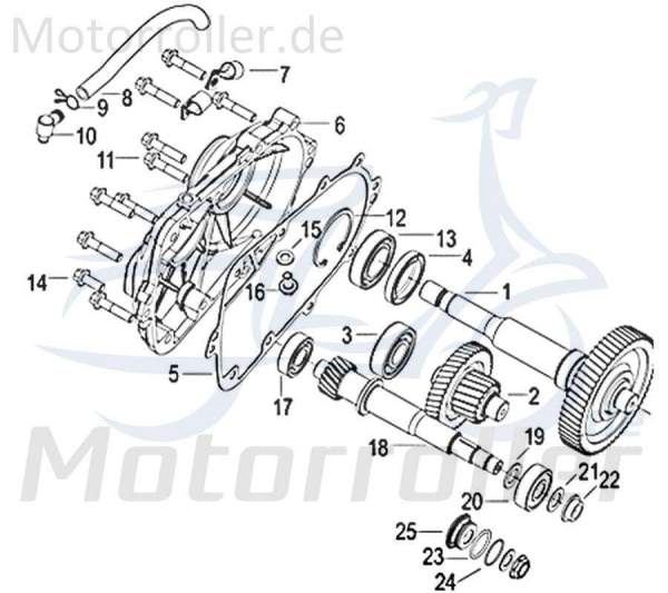 Jonway Insignio 250 DD Dichtung 250ccm 4Takt 210035000000 Motorroller.de Abdichtung SEAL Gasket Scooter Ersatzteil Service Inpektion Direktimport