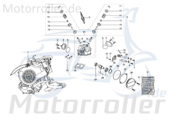 Kreidler STAR Deluxe 4S 200 Ventilfeder 200ccm 4Takt C-4781257 Motorroller.de Spiralfeder Druck-Feder Spiral-Feder Springfeder Kompressionsfeder LML