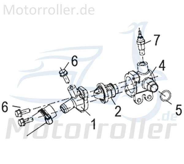 Kreidler Insignio 125 2.0 O-Ring Roller 125ccm 4Takt 750116 Motorroller.de 148x19mm Gummidichtung Dichtring Gummiring Oring Gummi-Ring Dicht-Ring