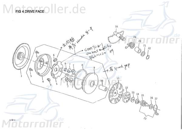 PGO Gleitführung / Gleitstück Galaxy 50 Roller 50ccm 2Takt Motorroller.de Gleitschuhe Gleitstücke Gleit-Führung Gleit-Schuhe Gleit-Stücke Scooter