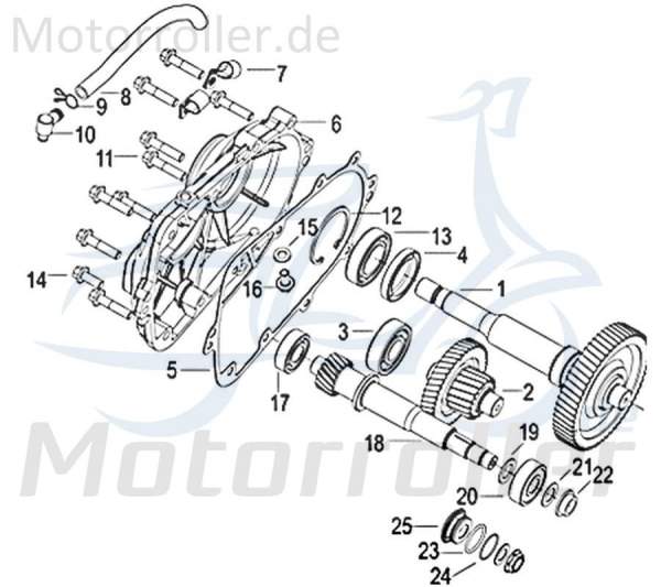 Jonway Insignio 250 DD Getriebeabdeckung Jonway Insignio 250 DD 750601 Motorroller.de Kupplungsdeckel Getriebegehäuse Gehäusedeckel Variodeckel