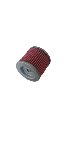 Ölfilter Rex Supermoto 125 DD 125ccm 4Takt 89275 Motorroller.de Ölreiniger DICE CR 125i GS/SM Pro Rex Enduro DD