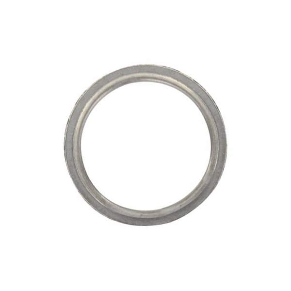 Rex 25-50 2-T Auspuffkrümmerdichtung Dichtungsring Motorroller.de Auspuffdichtung Dichtring 50ccm 2Takt 1E40QMB YY50QT-28 50cc 2T Minarelli