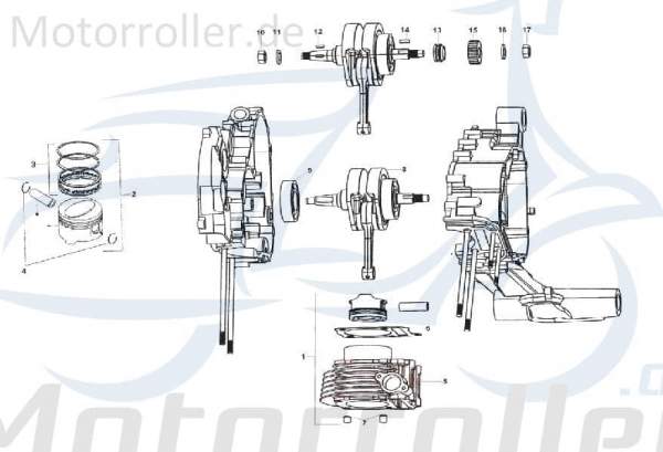 Kreidler STAR Deluxe 4S 200 Clip 200ccm 4Takt SF504-1229 Motorroller.de 13mm Klammer Schelle Klemmschelle Befestigungsschelle Halteklammer Halteclip