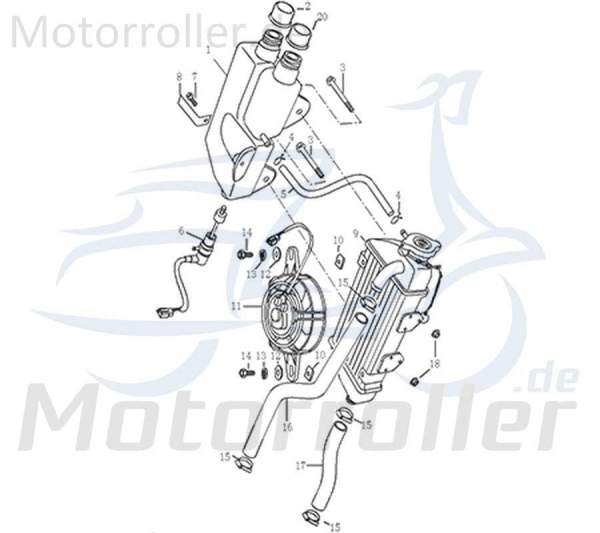 SMC Tellerfeder 1E40MB.13.13 Motorroller.de Ersatzteil Service Inpektion Direktimport