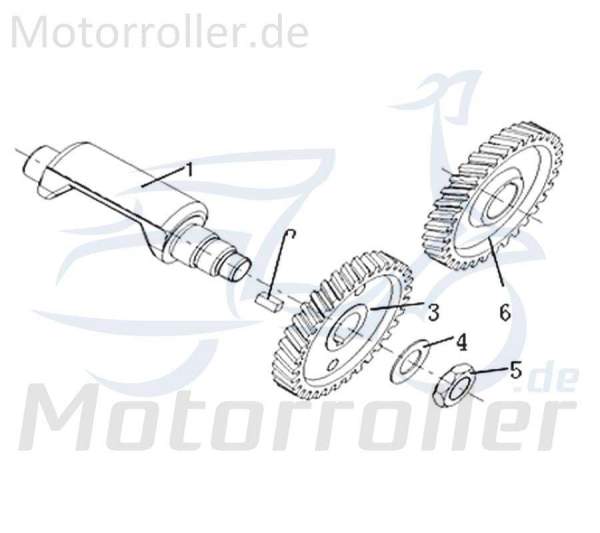 SMC Antriebsrad Ausgleichswelle Kreidler Starter 1E40MB.08-02 Motorroller.de Ritzel Antriebsritzel Fußstarter 50ccm-2Takt Motorrad DICE SM 50 LC
