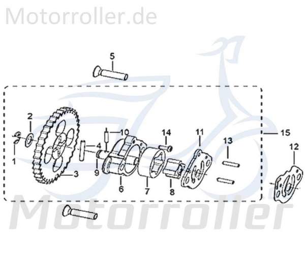 Jonway Insignio 250 DD Schraube 250ccm 4Takt B02160602524 Motorroller.de M6x25mm Bundschraube Maschinenschraube Flanschschraube Flansch-Schraube