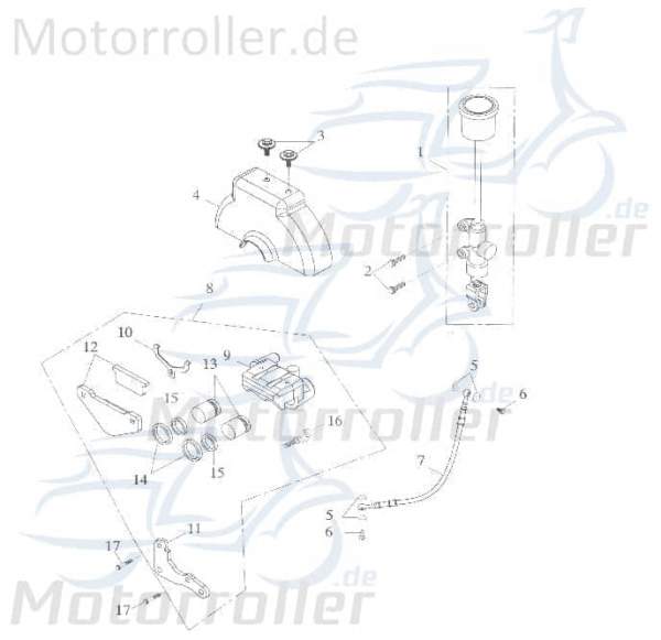 Adly Bremsscheibendeckel vorn GK 125 Buggy 125ccm 4Takt Motorroller.de 125ccm-4Takt Ersatzteil Service Inpektion Direktimport