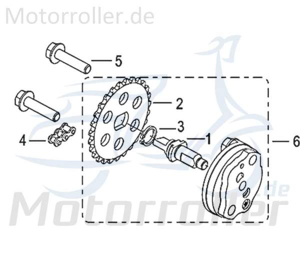 Kreidler Insignio 125 2.0 Antriebskette Ölpumpe 750110 Motorroller.de Kettenantrieb Ketten-Antrieb Antriebs-Kette 4 Takt 125ccm