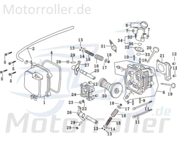 Schraube Rex RS450 Innensechskant-Schraube 50ccm 4Takt Motorroller.de Innensechskantschraube Maschinenschraube