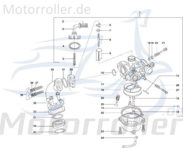 O-Ring 255x24 AGM-MOTORS Vergaser Motorroller C-4773952