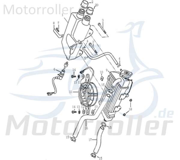 Kühler Motorroller 50ccm 2Takt Kreidler Rex 733150