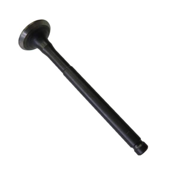 Auslassventil BT 50 BT139QMB-011401 Motorroller.de