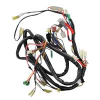 Kabelbaum Rex Kabelsatz Stromverteiler Roller 25 50ccm 2Takt Motorroller.de Strom-Verteiler Kabel-Set Kabelbündel Kabel-SatzKabelbaumverteiler 1E40QMB Kabelbaum Rex Kabelsatz Stromverteiler Roller 25 50ccm 2Takt Motorroller.de Strom-Verteiler Kabel-Set Kabelbündel Kabel-SatzKabelbaumverteiler 1E40QMB