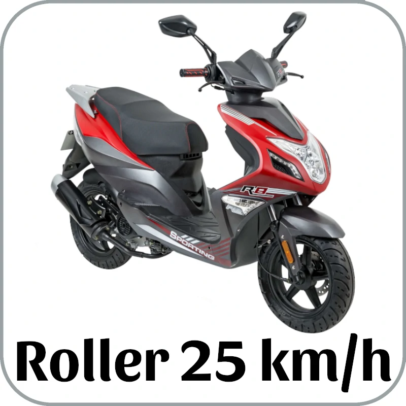 Motorroller 25 km/h