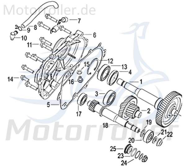 Jonway Insignio 250 DD O-Ring 28x265mm 250ccm 4Takt 750662 Motorroller.de Gummidichtung Dichtring Gummiring Oring Gummi-Ring Dicht-Ring Scooter