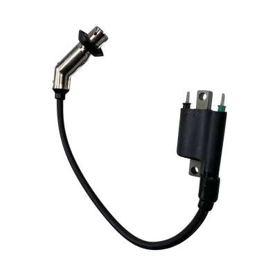 STARK Zündspule SKCO-0070170 – Für Renault Clio, Megane, Kangoo Uvm.