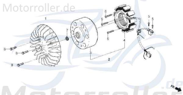 Lichtmaschine Daelim Otello DLX Stator Roller 125ccm 4Takt Motorroller.de Ankerplatte Anker-Platte Stromerzeuger Strom-Generator Licht-Maschine