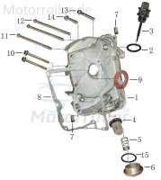 Vorschau: Kurbelgehäuse rechts außen Rex Imola 125 Roller 125ccm 4Takt Motorroller.de Motorgehäuse Motorblock 125ccm-4Takt Scooter RS125 QM125T 10D Ersatzteil Vorschau: Kurbelgehäuse rechts außen Rex Imola 125 Roller 125ccm 4Takt Motorroller.de Motorgehäuse Motorblock 125ccm-4Takt Scooter RS125 QM125T 10D Ersatzteil