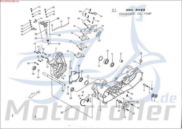 PGO Schlauchklemme Gummiclip X-RIDER 150 Quad 150ccm 4Takt Motorroller.de Spannring Schelle Klemmschelle Schlauchbinder Klemm-Schelle Schlauch-Schelle