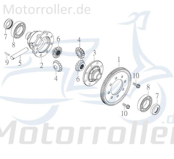 Welle Schneckenräder Differentialgetriebe Kart 1 72265