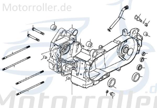 Motor Rex RS125 Antrieb Engine Motor-System 125ccm 4Takt Motorroller.de komplett Antriebsaggregat Motor-Aggregat Fahrzeugantrieb Motoreinheit Scooter