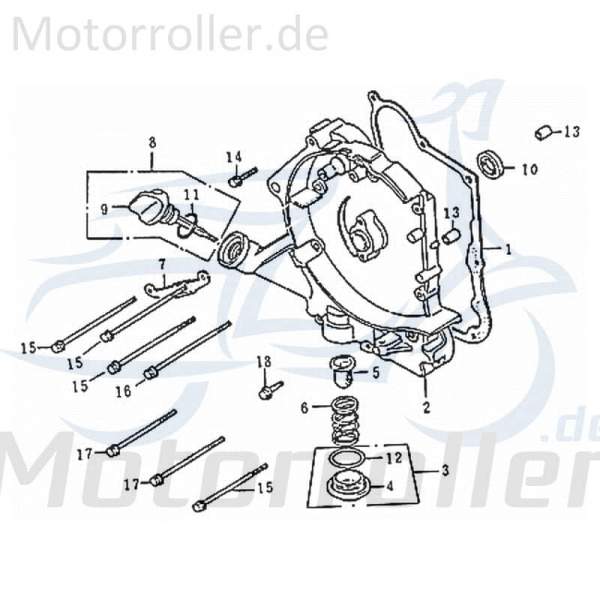 Variomatikdeckel rechts Rex Imola 125 Roller 80333 Motorroller.de Getriebegehäusedeckel Variodeckel Seitendeckel Getriebedeckel 152QMI Scooter