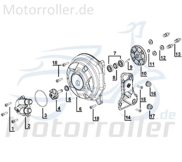 Kreidler Galactica 3.0 LC 50 DD O-Ring 50ccm 2Takt 14139-ES5B-9000 Motorroller.de 54x178mm Gummidichtung Dichtring Gummiring Oring Gummi-Ring Scooter