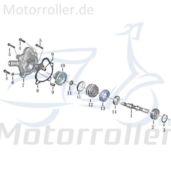 Gummidichtung AGM-MOTORS 31141804 Motorroller.de