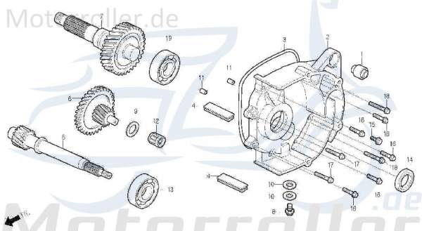 Dichtring Getriebe Motorroller 125cc DAE-21395-SA1-0000