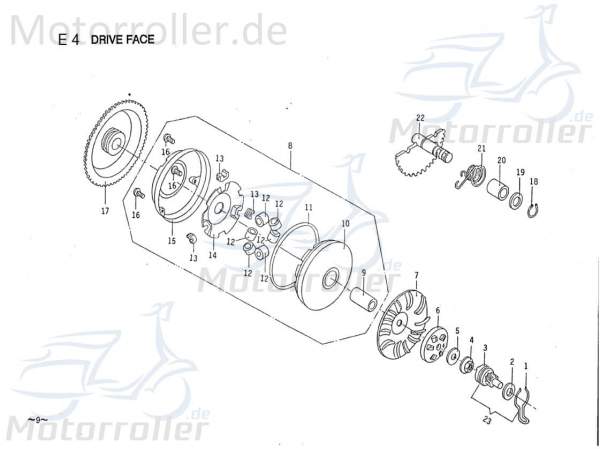 PGO Antriebsritzel Antriebszahnrad Kickstarter 50ccm 2Takt Motorroller.de Antriebsrad Antriebritzel Antriebs-Ritzel Antrieba-Rad Antriebs-Zahnrad