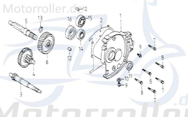 Adly Getriebezahnrad Getriebezwischenrad GK 125 125ccm 4Takt Motorroller.de Ritzel Getrieberitzel Getriebrad 125ccm-4Takt Buggy Noble 125 Ersatzteil