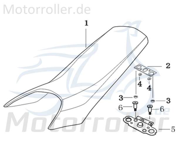 Schlossplatte Motorrad 50ccm 2Takt Kreidler Rex 733166