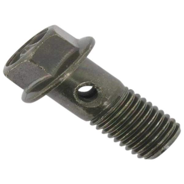 Rex RS460 Hohlschraube Hohl-Schraube Roller Motorroller.de Bremsleitungsschraube 50ccm 4Takt 139QMB JSD50QT-13 50cc 4T 139QMA