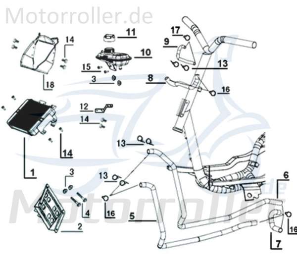 Kreidler Galactica 3.0 LC 50 DD Kühlergrill 50ccm 2Takt 64312-ABA9-9000 Motorroller.de Kühlerverkleidung Minarelli liegend Scooter Ersatzteil Service