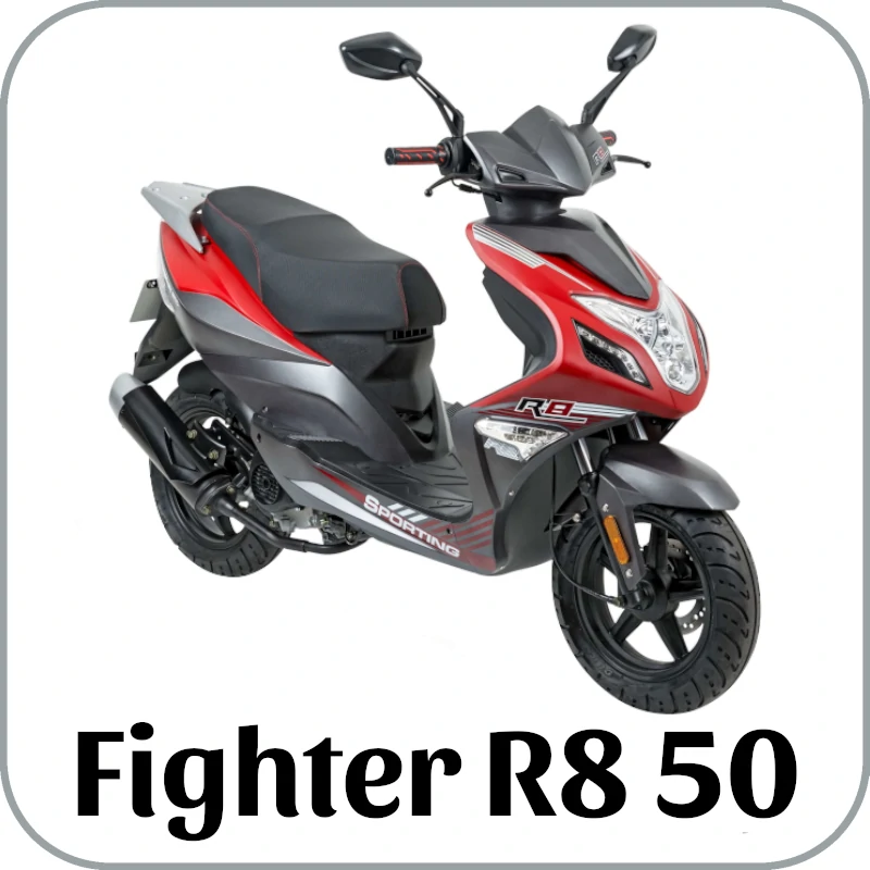Motorroller Fighter R8 25 km/h