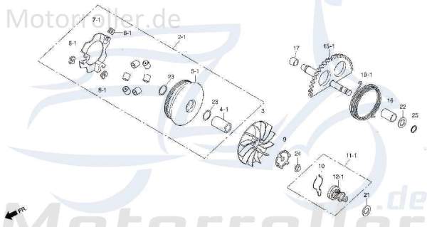 Daelim History SL 125 Riemenscheibe Daelim History SL 125 2210A-SA1-0102-EU2 Motorroller.de Keilriemenscheibe Luftrad Flügelrad Lüfterrad Lauf-Rad